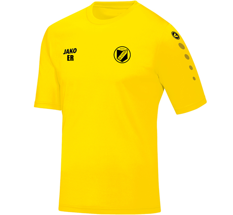 Jako Team T-Shirt Yellow (4233-03) St. Croix
