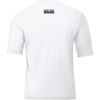 4233_00-team-troye-gif-back