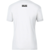 4233_00d-team-troye-gif-back