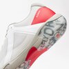 Dragonfly_Red_Grey_21