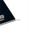 TarkettSports X Norsk Bandysport sportsgulv
